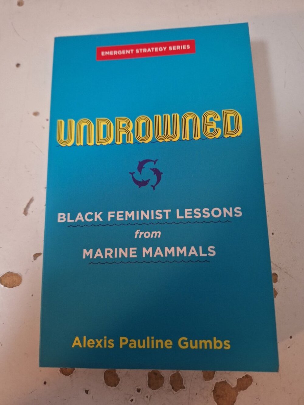 Undrowned: Black Feminist Lessons from Marine Mammals